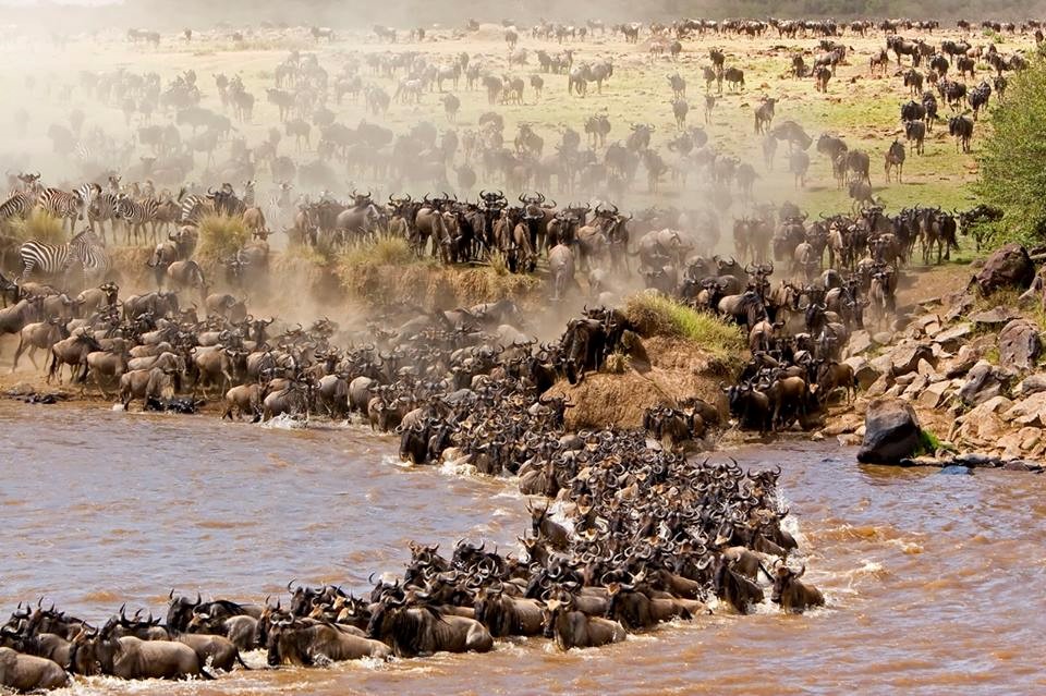 Ngorongoro Crater