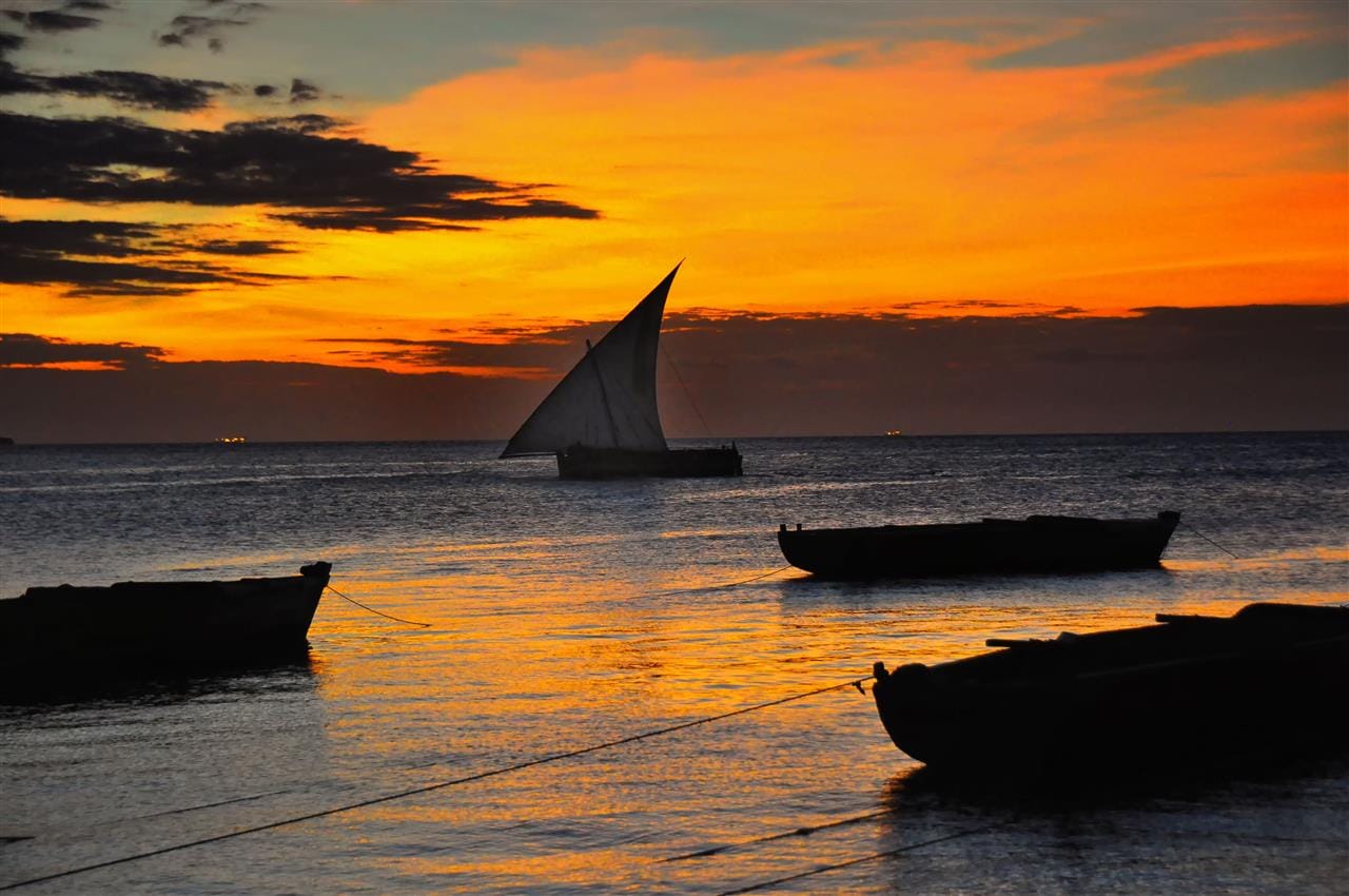Traditional dhow sailing at sunset in Zanzibar